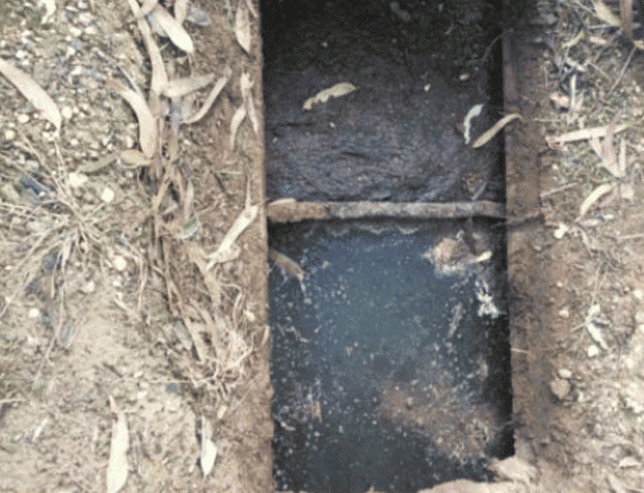 AN-Septic-Tank-Cleaning-After2